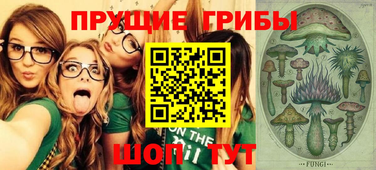 Галлюциногенные грибы ЛСД Сыктывкар