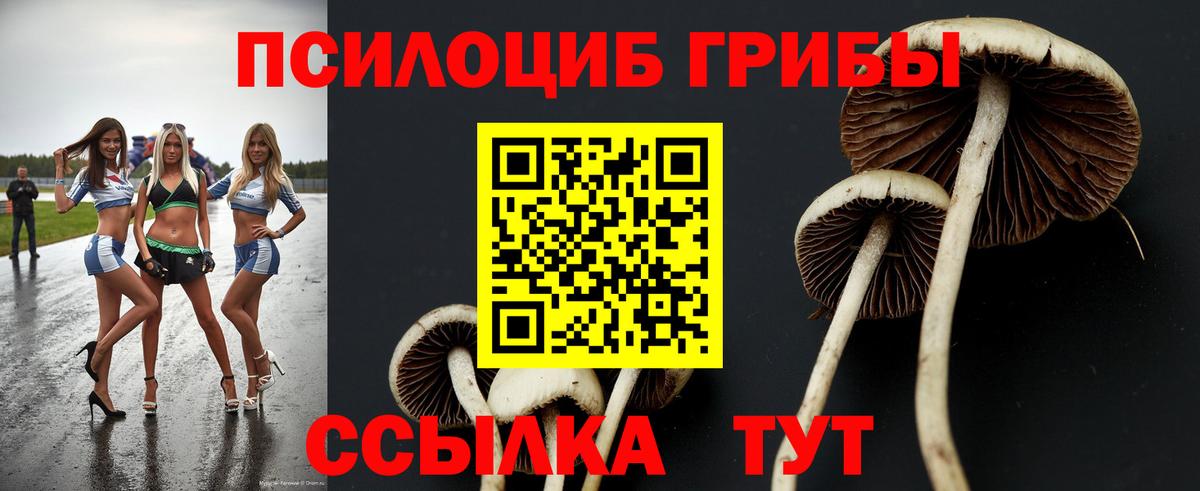 Галлюциногенные грибы Magic Shrooms  Псилоцибиновые грибы Psilocybe  Сыктывкар  Вход с VPN 